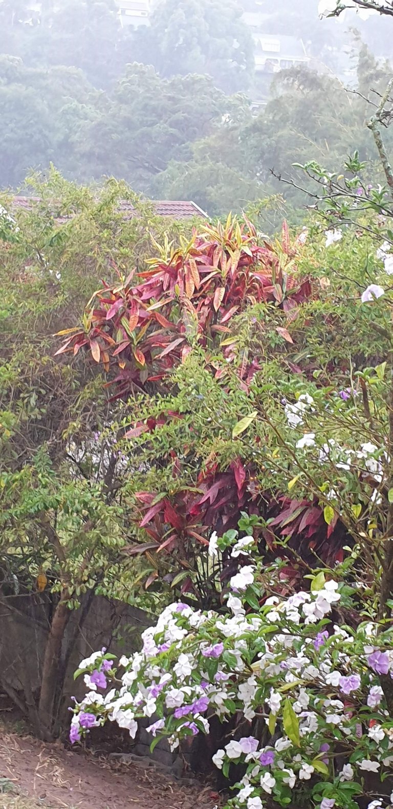 20220919_145051.jpg