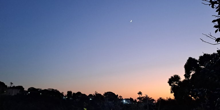 20250721_062529.jpg