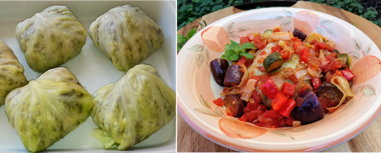 Cabbage Dolmades.png