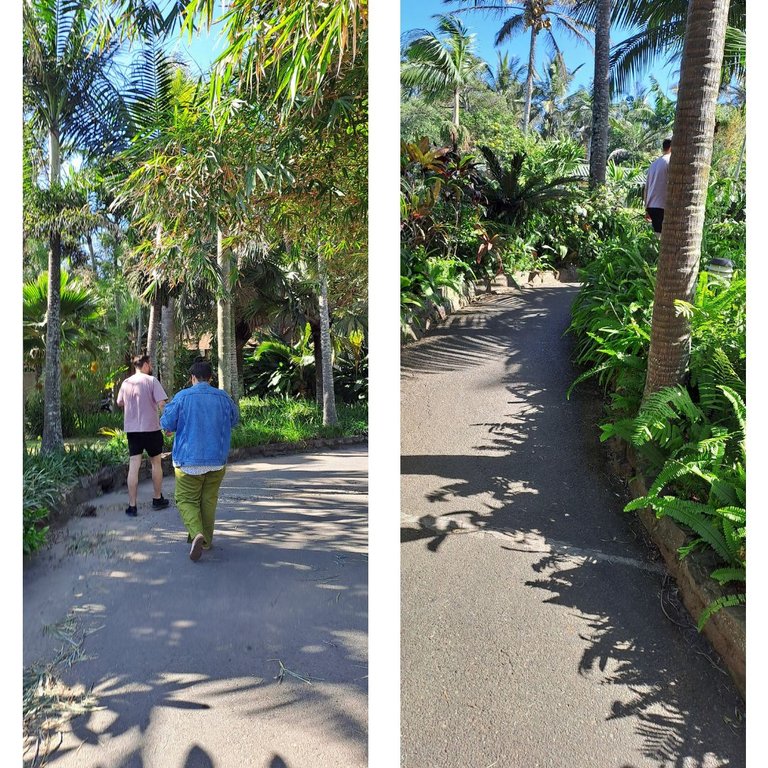Pathway1.jpg