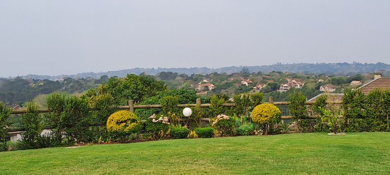 20250816_122637.jpg