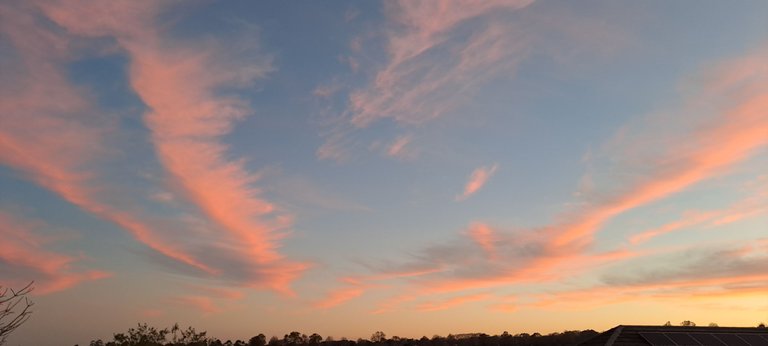 20250615_171518.jpg