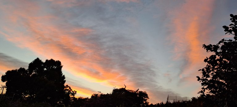 20250608_063940.jpg