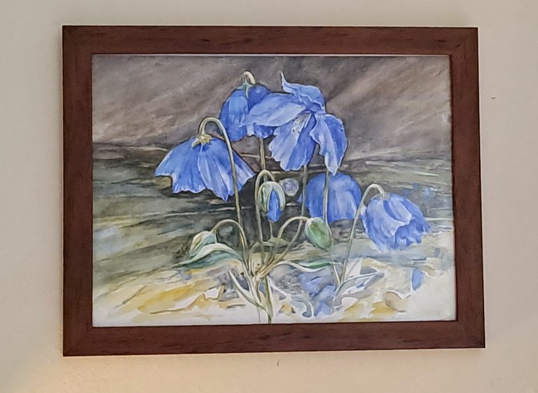 20250314_blue flowers.jpg