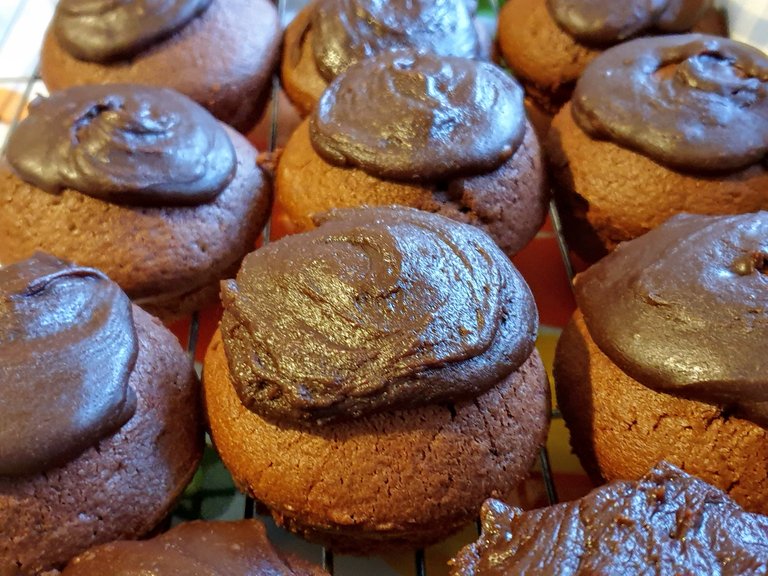Choc muffins.jpg