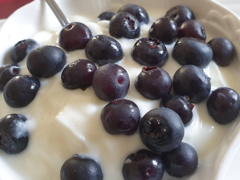 Yogurt blueberries.jpg