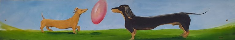 20250629_120403.jpg