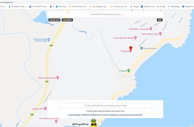 TO Strand Pinmapple.JPG