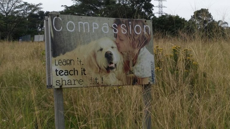 Compassion SPCA.jpg