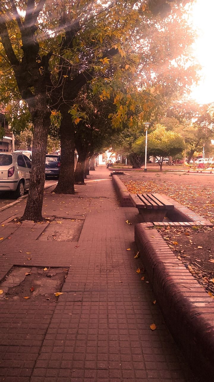 otoño45.jpg