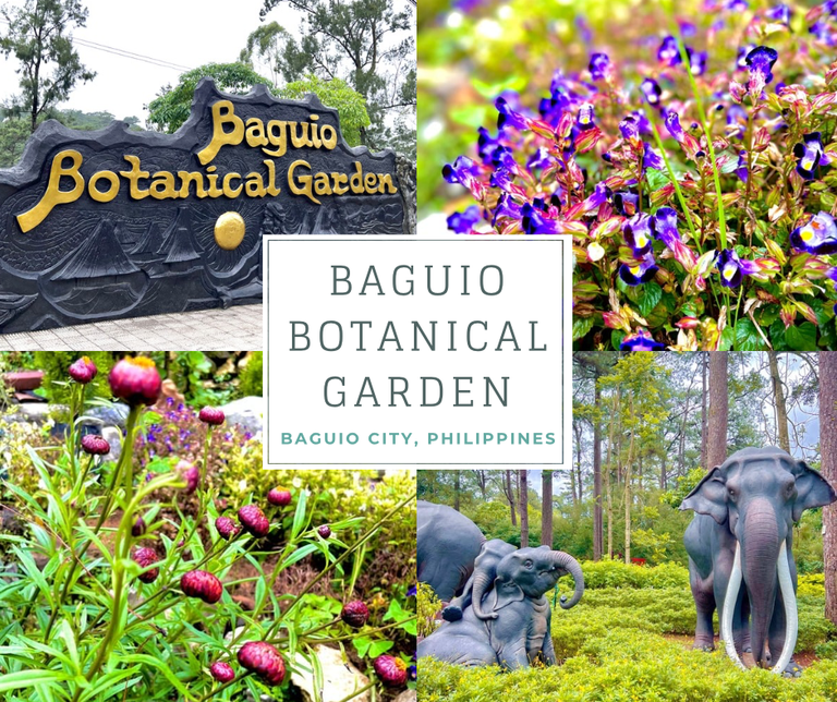Where Nature and Culture Meet: A Colorful Journey at “Botanical Garden” in Baguio City, Philippines
