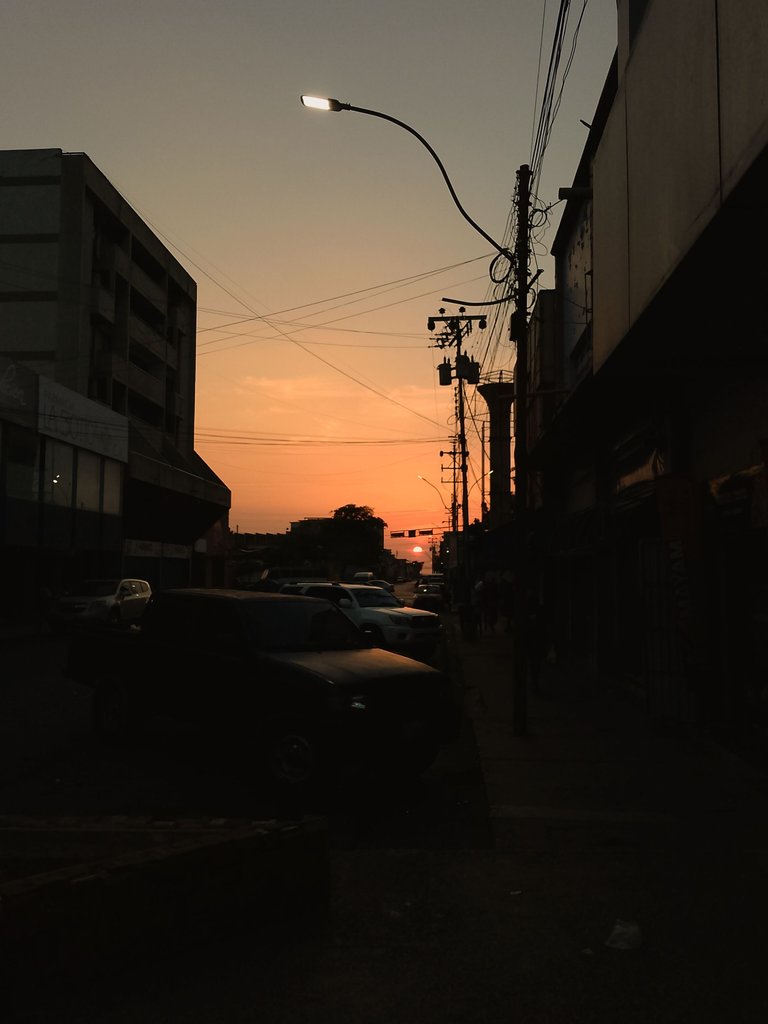 InShot_20250304_132232321.jpg
