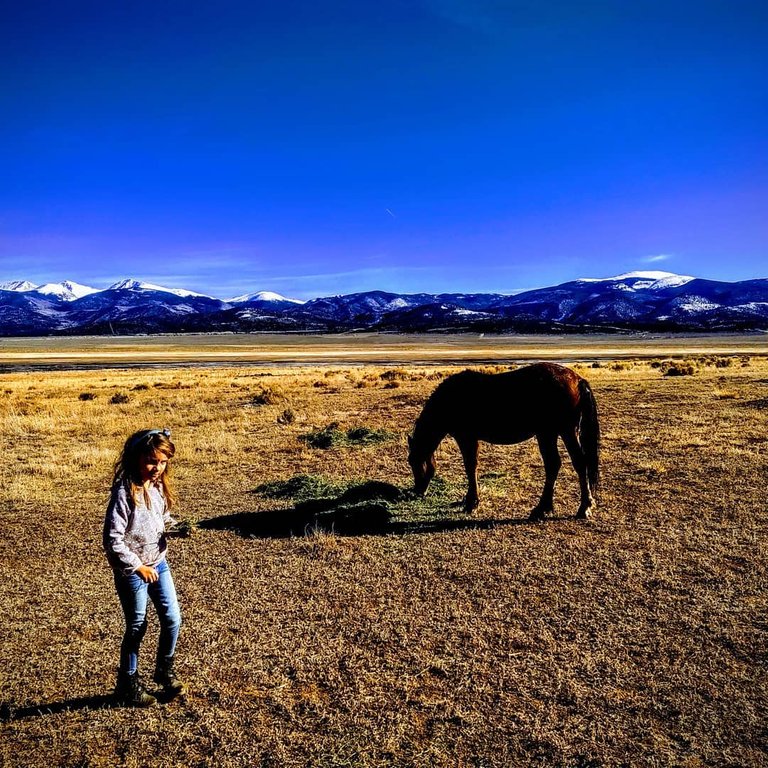 my granddaughter with horse.jpg