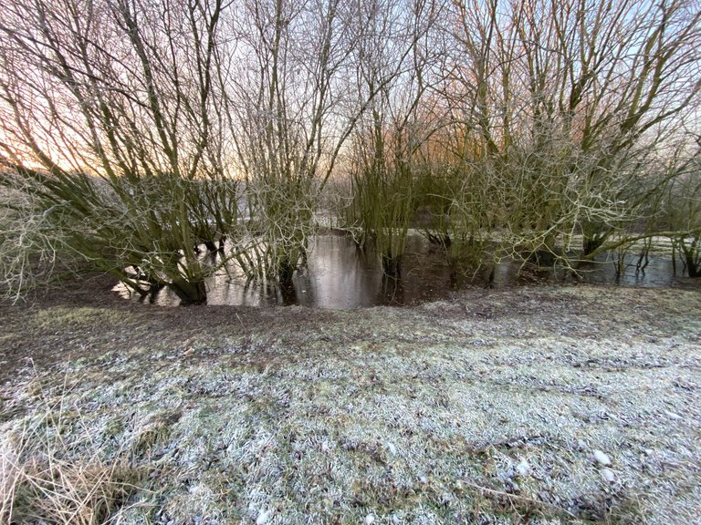 IMG_1185.JPG