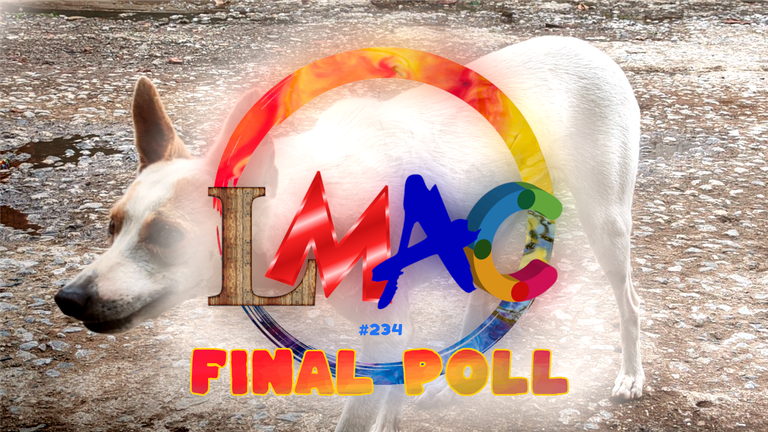 thumbnail_finalPoll.png
