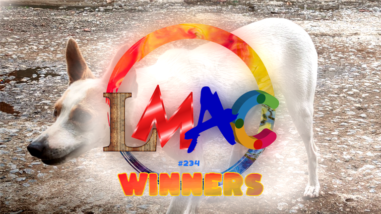 thumbnail_winners.png