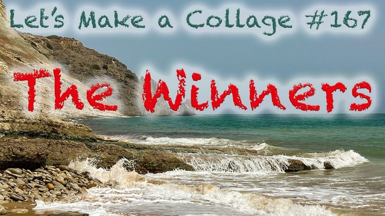 167-winners.jpg
