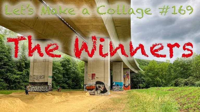 169-winners.jpg