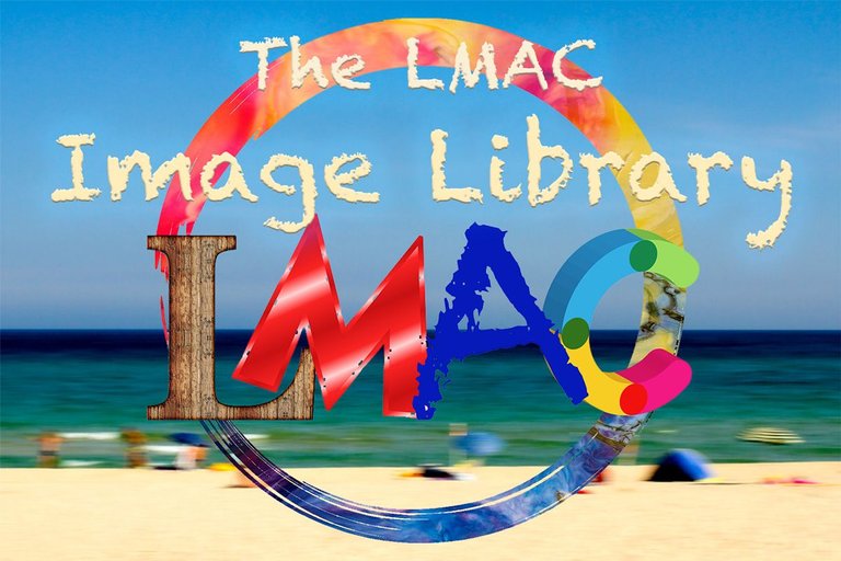 LIL-image-library.jpg