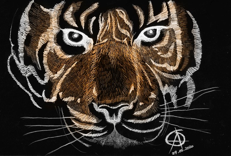 Lochart Tiger  orange.jpg