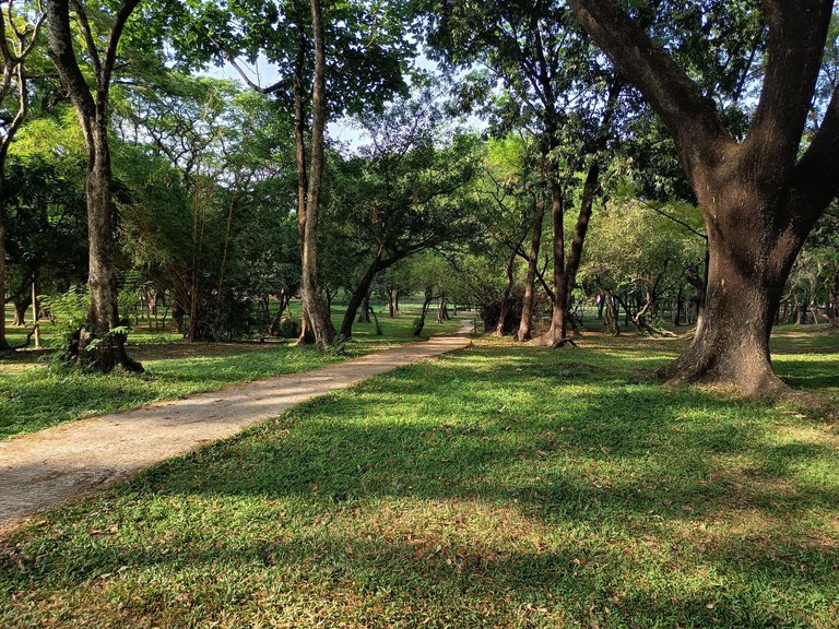 The Path less Travelled



#photography #travel #hiveph #philippines #bbh #pepe ...