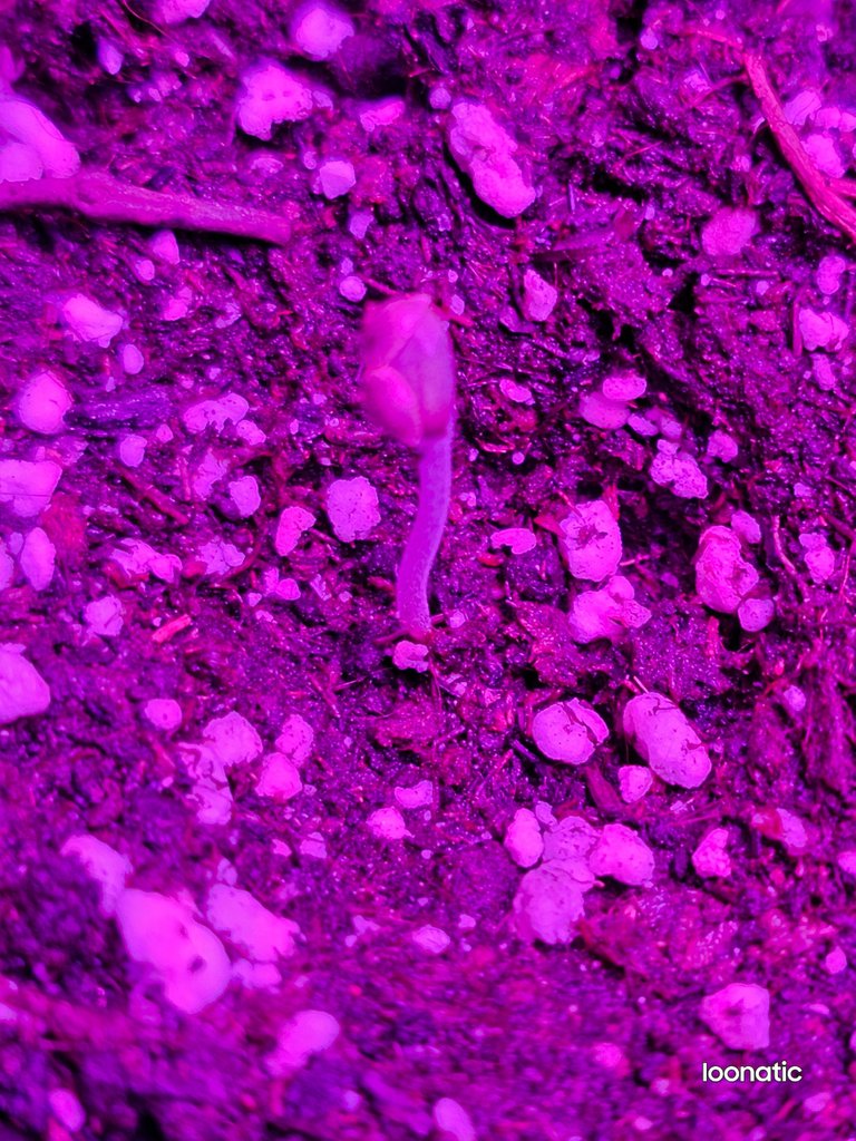 20230630_232201.jpg