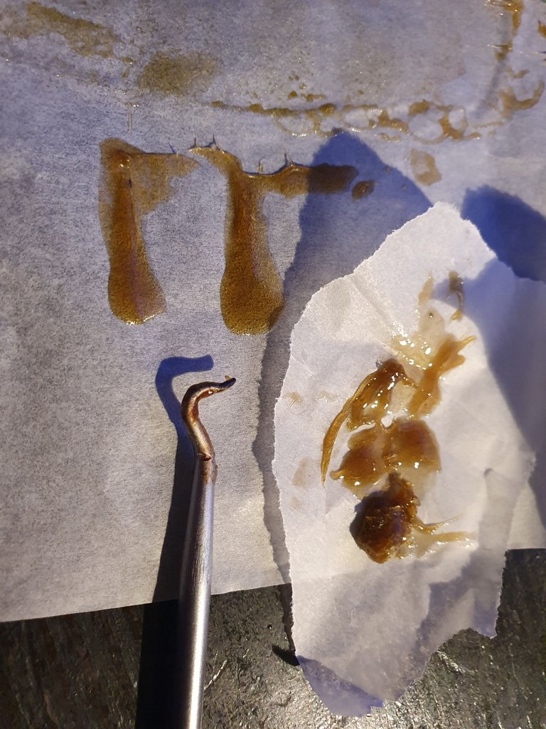 20221122_202320.jpg