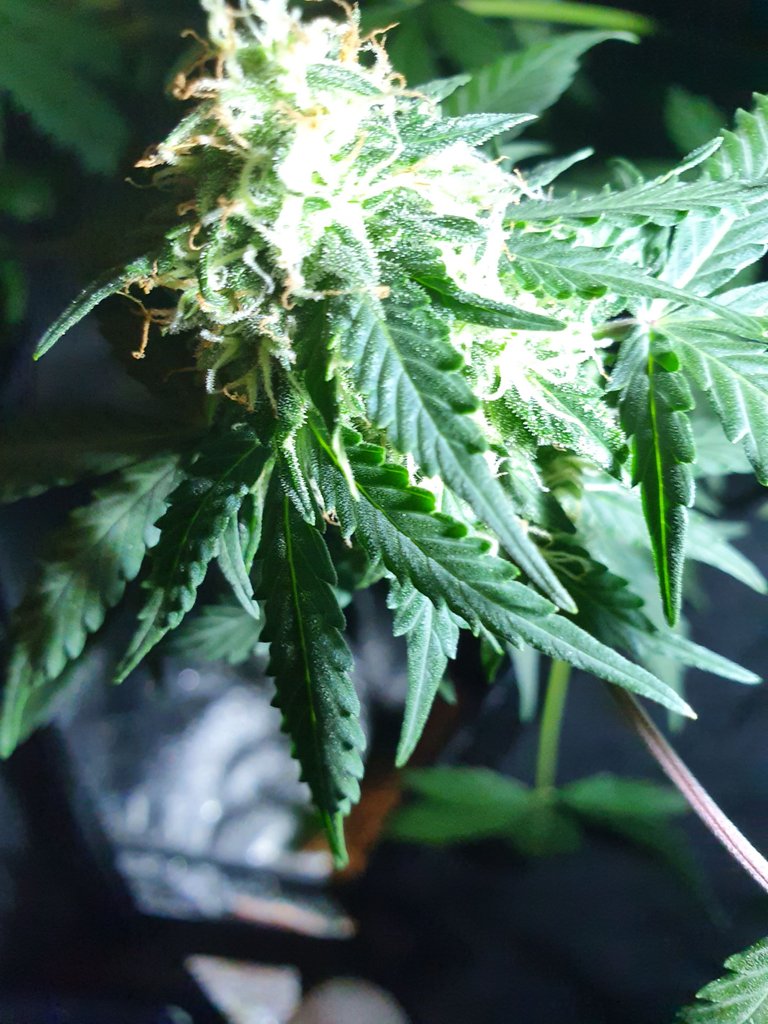 20220907_205904.jpg