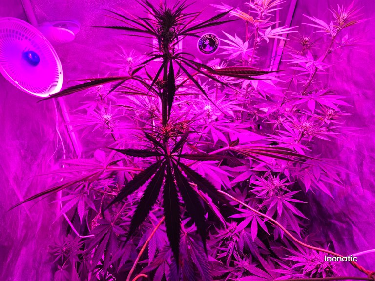 20230821_184353.jpg