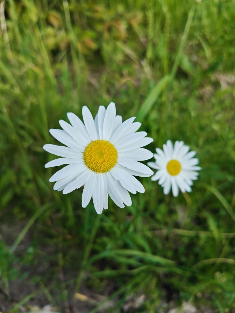 IMG20250528180726.jpg