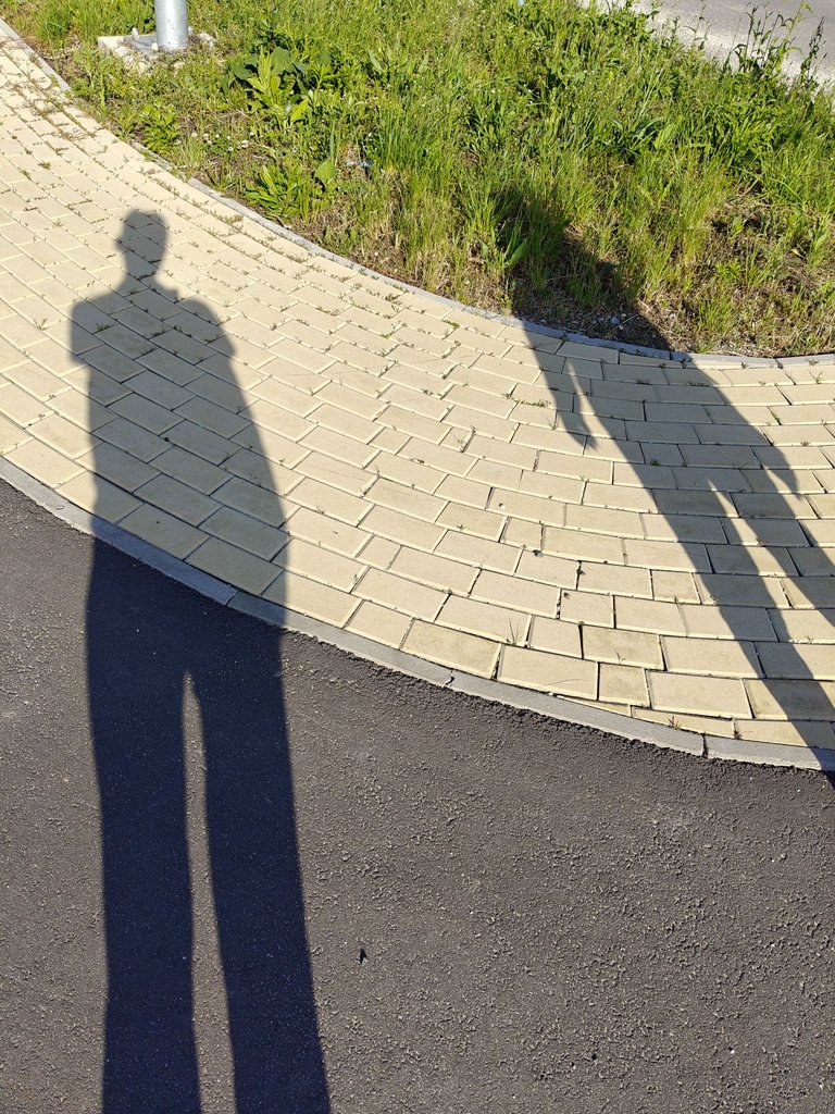 IMG20250528172929.jpg