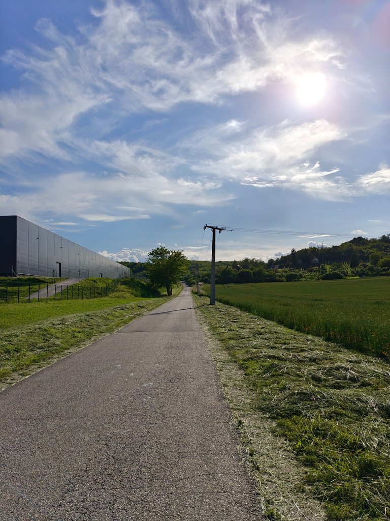 IMG20250528173108.jpg
