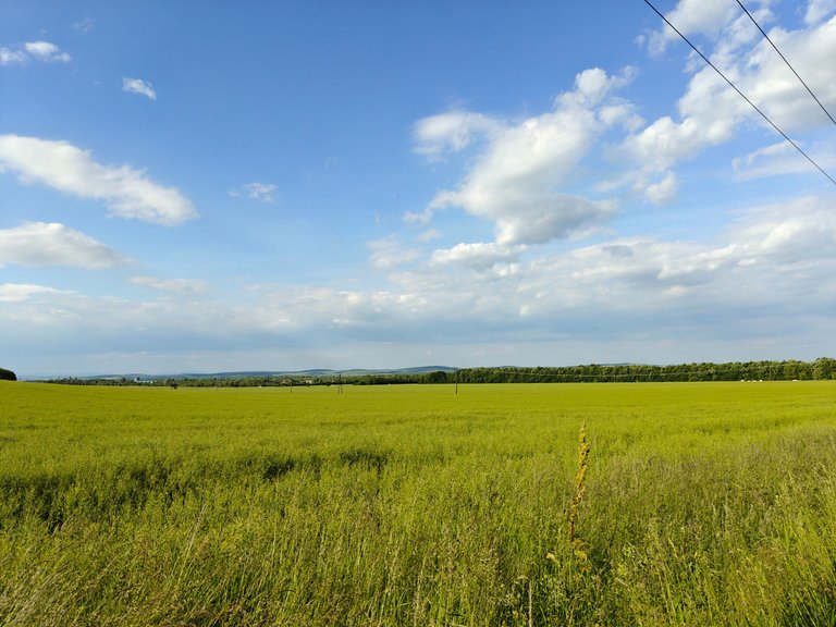 IMG20250528173333.jpg