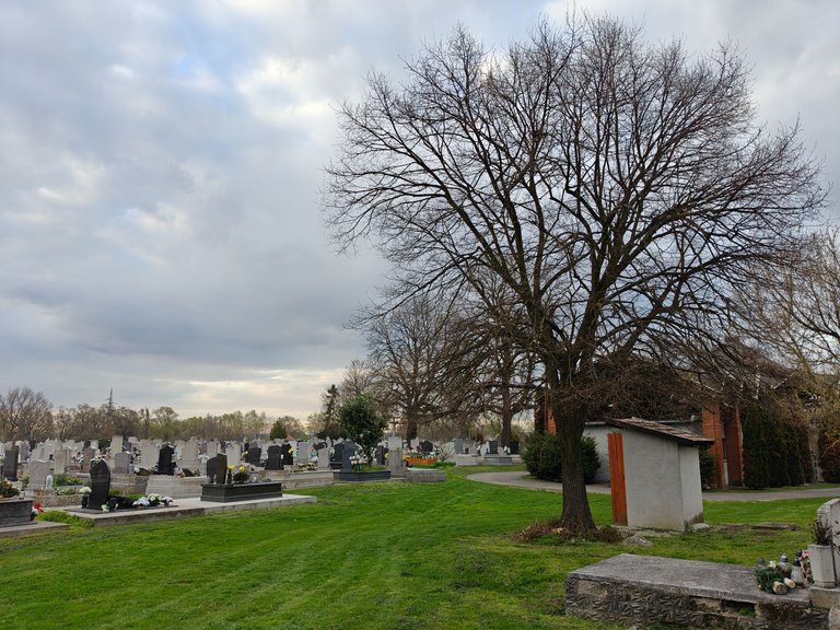 IMG20250409182725.jpg