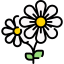 flor.png