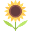 girasol.png