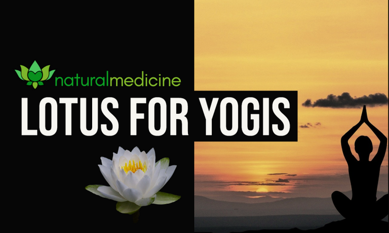 Lotus_for_Yogis.png