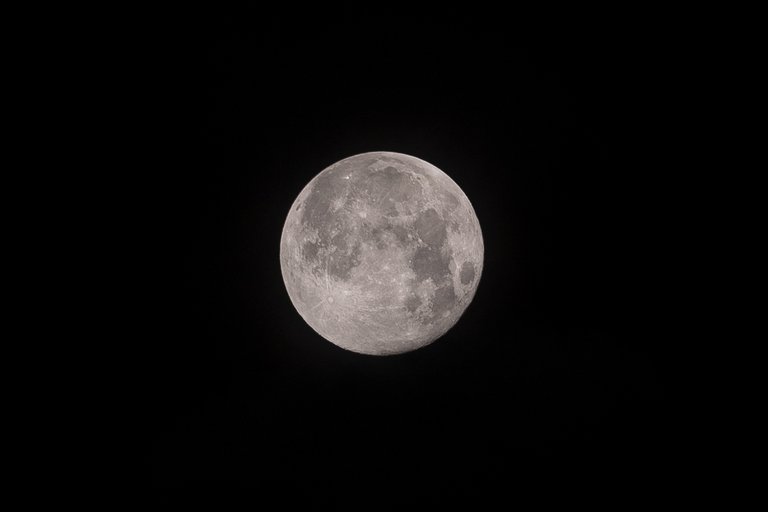 Supermoon_1_Ocotber24DSC05632.jpg