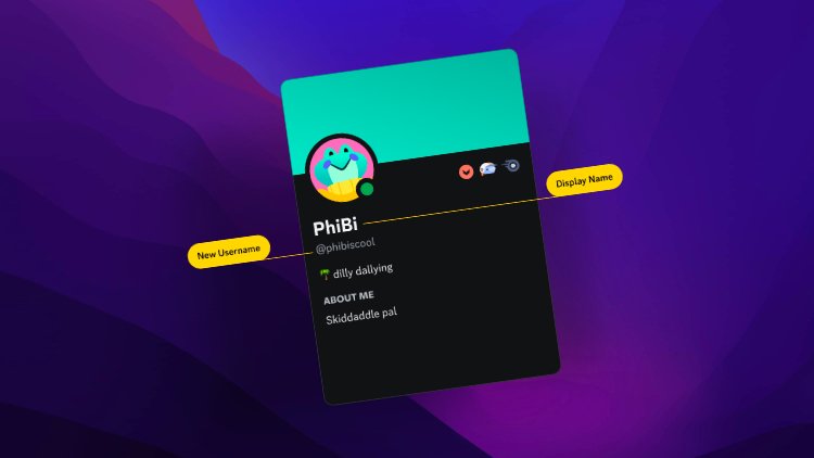 Discord introduces unique usernames - Finally more security?