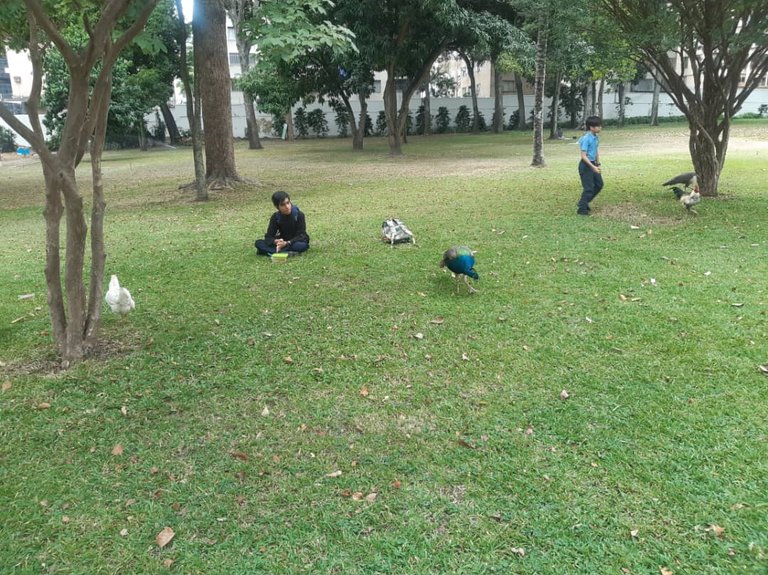FOTO38.jpg