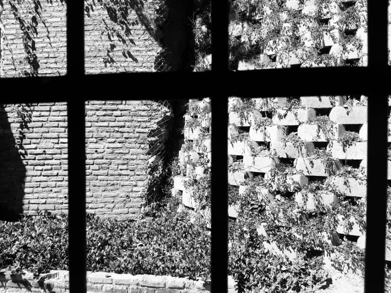 CASONA NUMERO 16.jpg