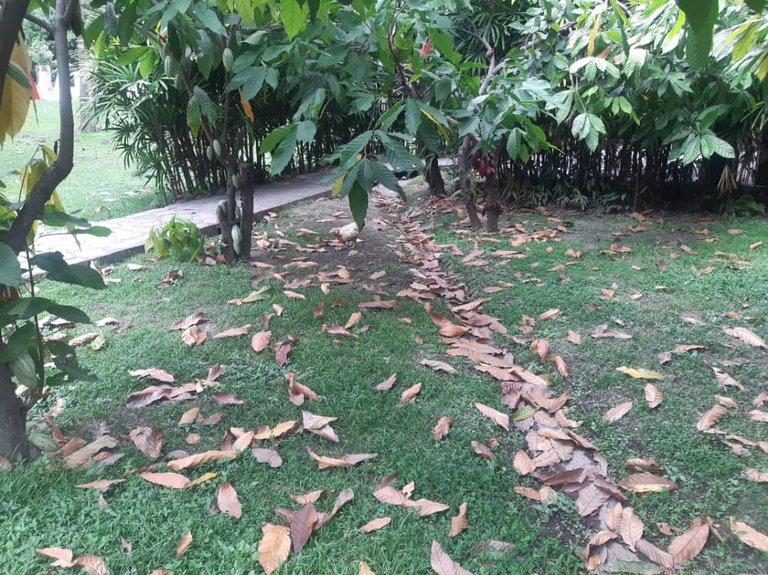 FOTO 16.jpg