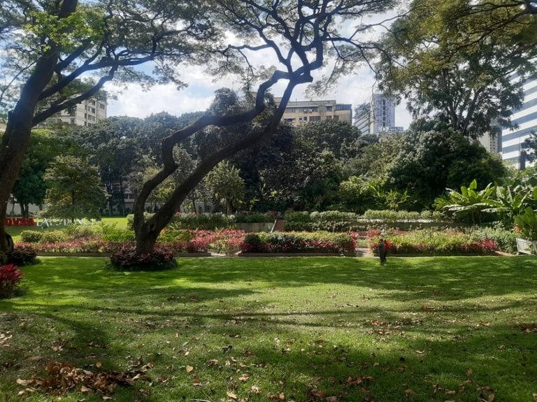 FOTO 9.jpg