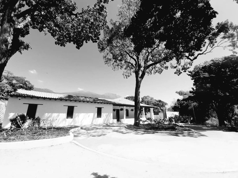 CASONA NUMERO 12.jpg