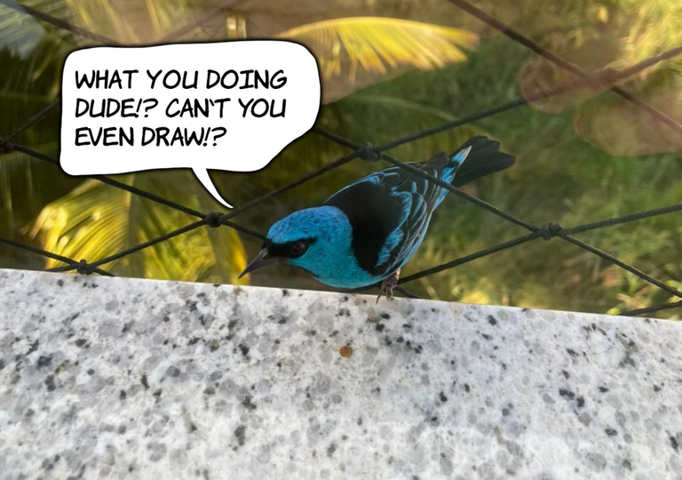 Danny the dacnis.png