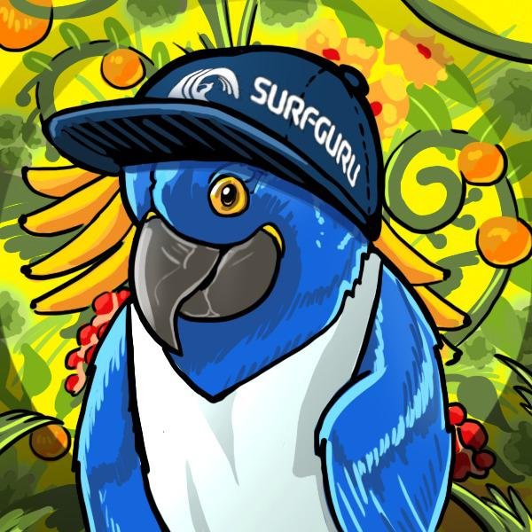 parrot_surfguru_cap.jpeg