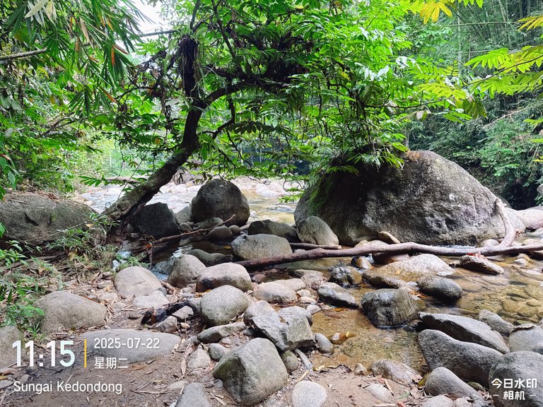 河边玩水和野餐 BBQ in Sungai Kedondong