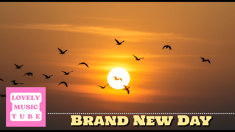 Brand New Day.mp4_thumbnail.png
