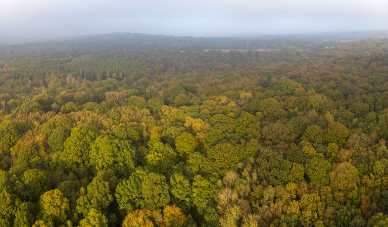 DJI_0329-HDR-Pano.jpg