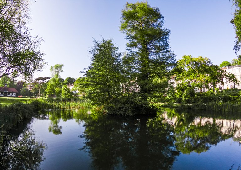 Nature with lake.jpg